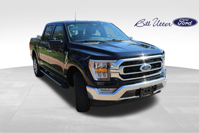 2023 Ford F-150 XLT photo 3