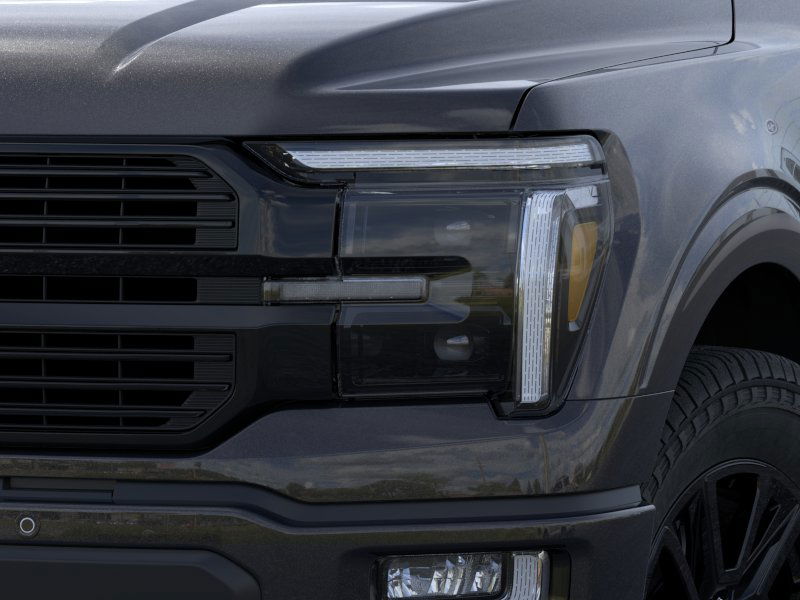 2025 Ford F-150 Platinum photo 18