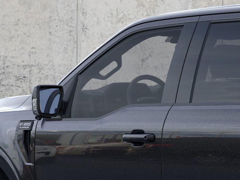 2025 Ford F-150 Platinum photo 20