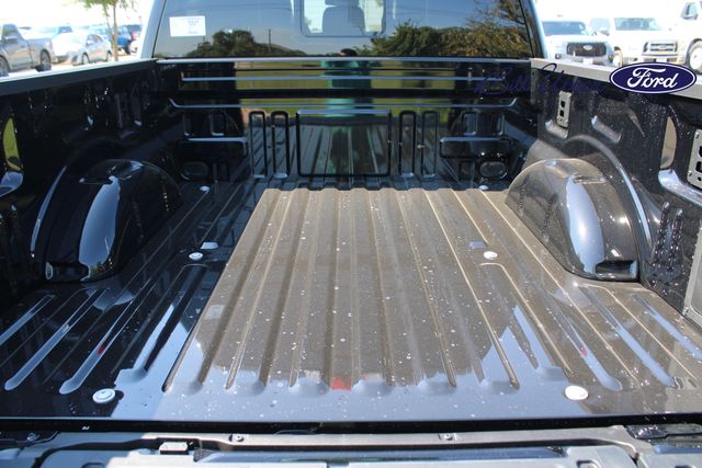 2025 Ford F-150 Platinum photo 6