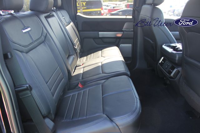 2025 Ford F-150 Platinum photo 11