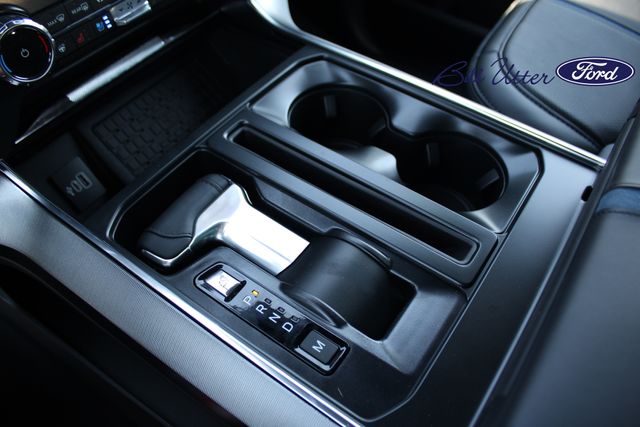 2025 Ford F-150 Platinum photo 15