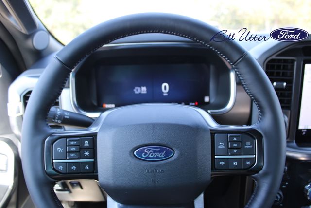 2025 Ford F-150 Platinum photo 18