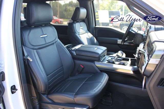 2025 Ford F-150 Platinum photo 9