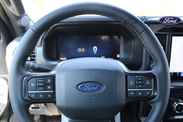 2025 Ford F-150 Platinum photo 19