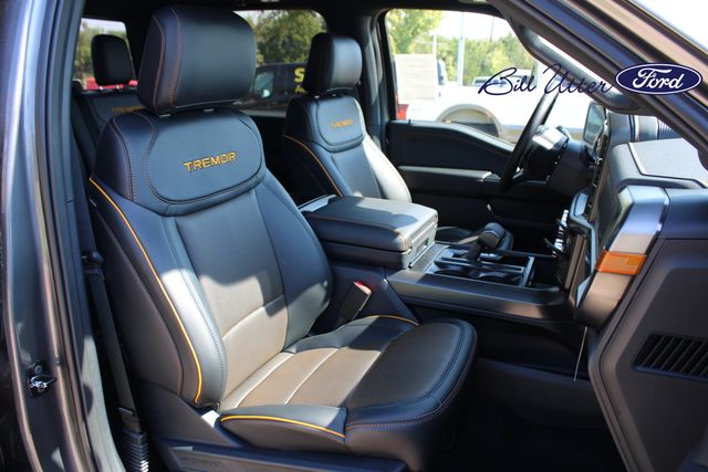 2025 Ford F-150 Tremor photo 8