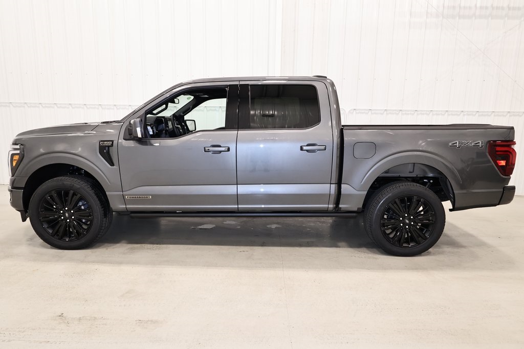 2025 Ford F-150 Platinum photo 5