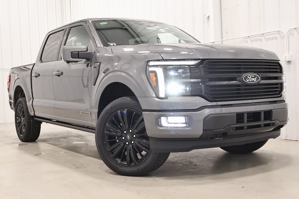 2025 Ford F-150 Platinum photo 33