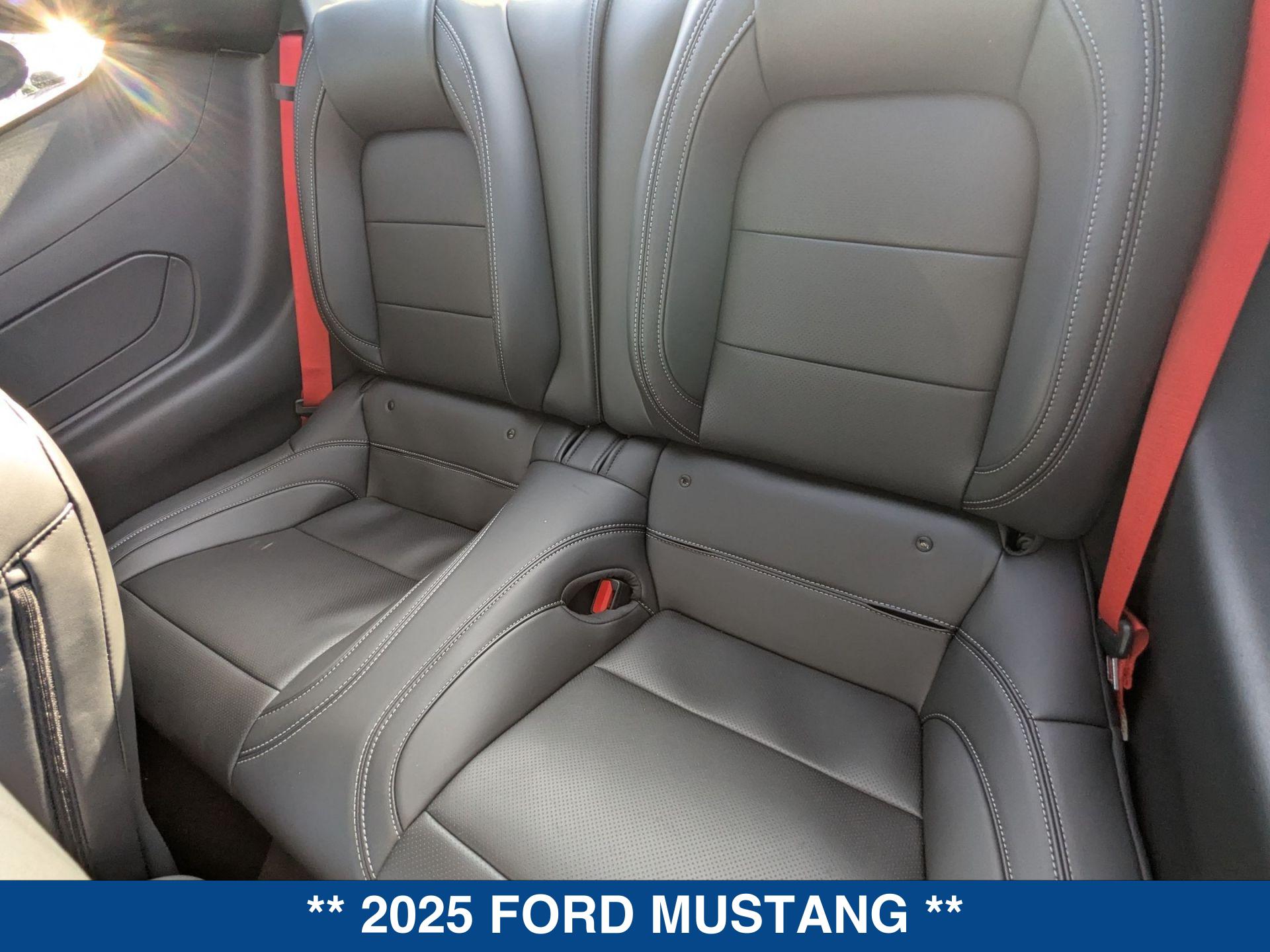 2025 Ford Mustang GT Premium photo 13