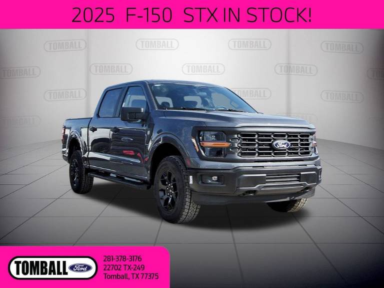 2025 Ford F-150 STX