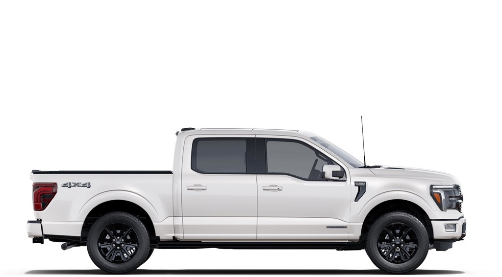 2025 Ford F-150 Platinum photo 5