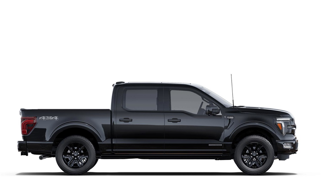 2025 Ford F-150 Platinum photo 5