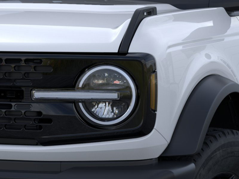 Showcase Image