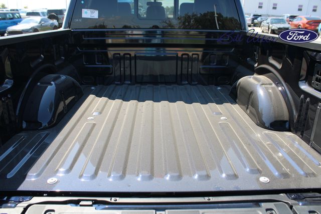 2025 Ford F-150 Platinum photo 6