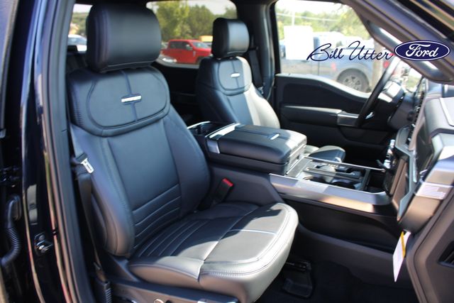 2025 Ford F-150 Platinum photo 9