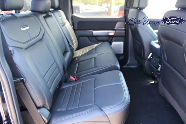 2025 Ford F-150 Platinum photo 11