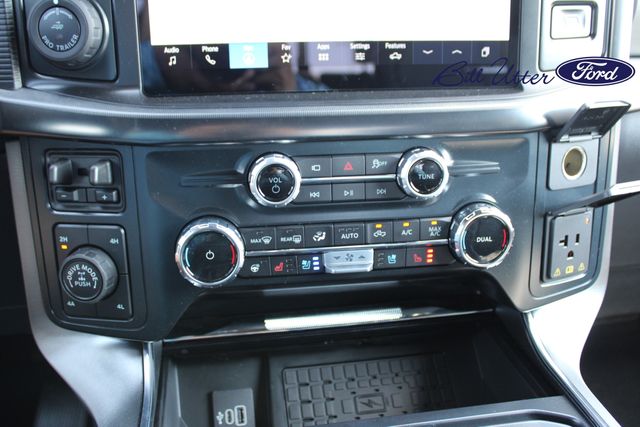 2025 Ford F-150 Platinum photo 15