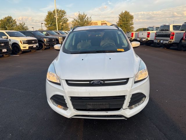 2014 Ford Escape SE photo 2