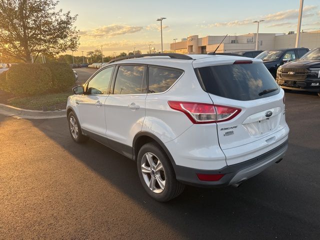 2014 Ford Escape SE photo 4