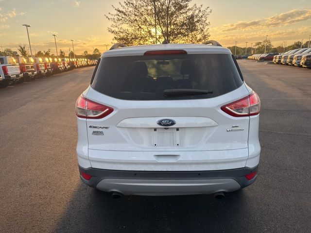 2014 Ford Escape SE photo 5