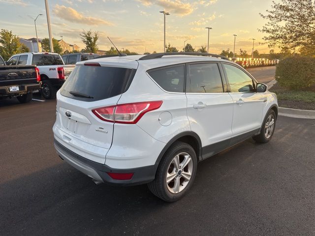 2014 Ford Escape SE photo 6