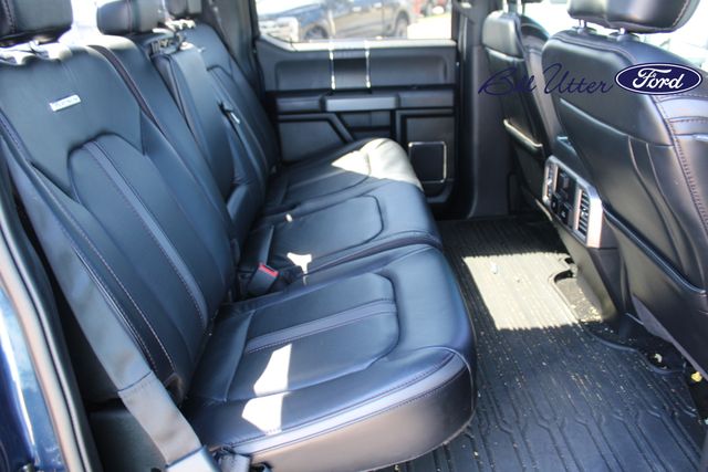 2020 Ford F-150 Platinum photo 8