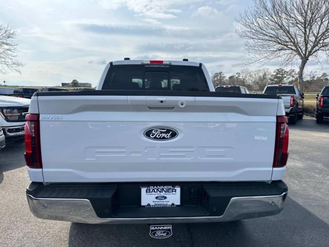 2025 Ford F-150 XLT - Photo 6