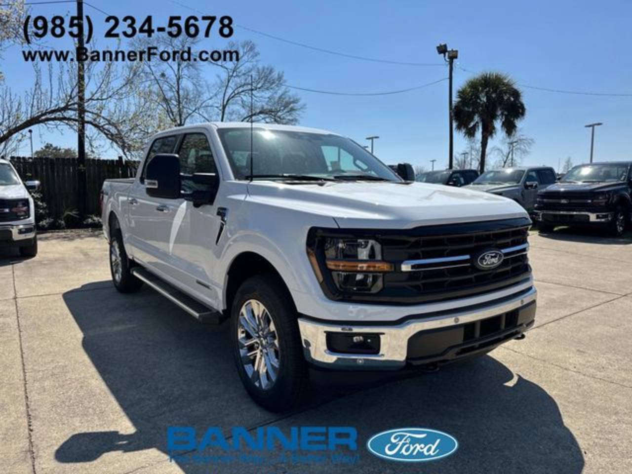 2025 Ford F-150 XLT's photo