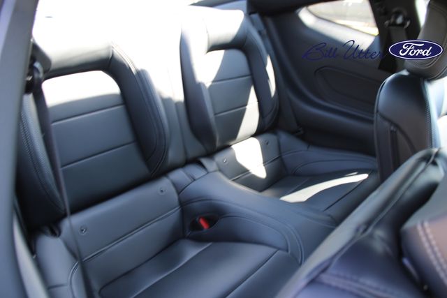 2025 Ford Mustang EcoBoost Premium photo 8