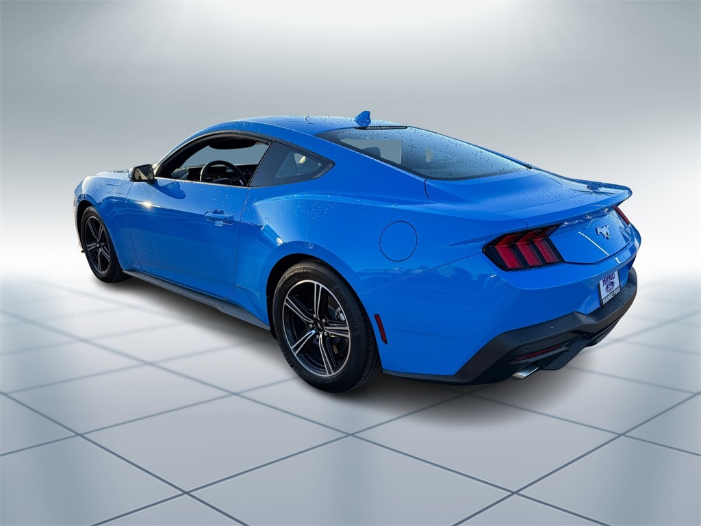 2025 Ford Mustang EcoBoost photo 4