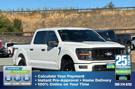 2025 Ford F-150 STX