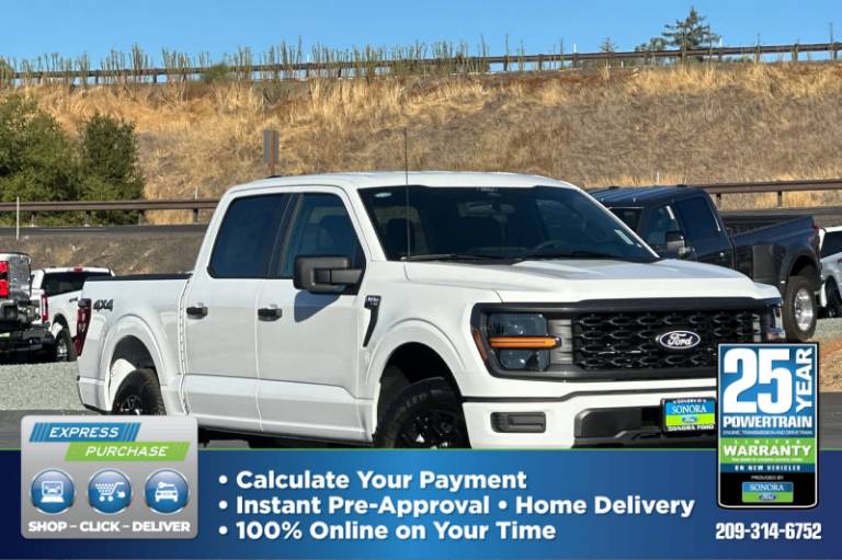 2025 Ford F-150 STX