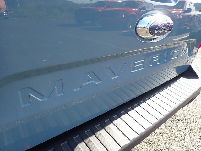 Showcase Image