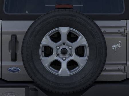 Showcase Image
