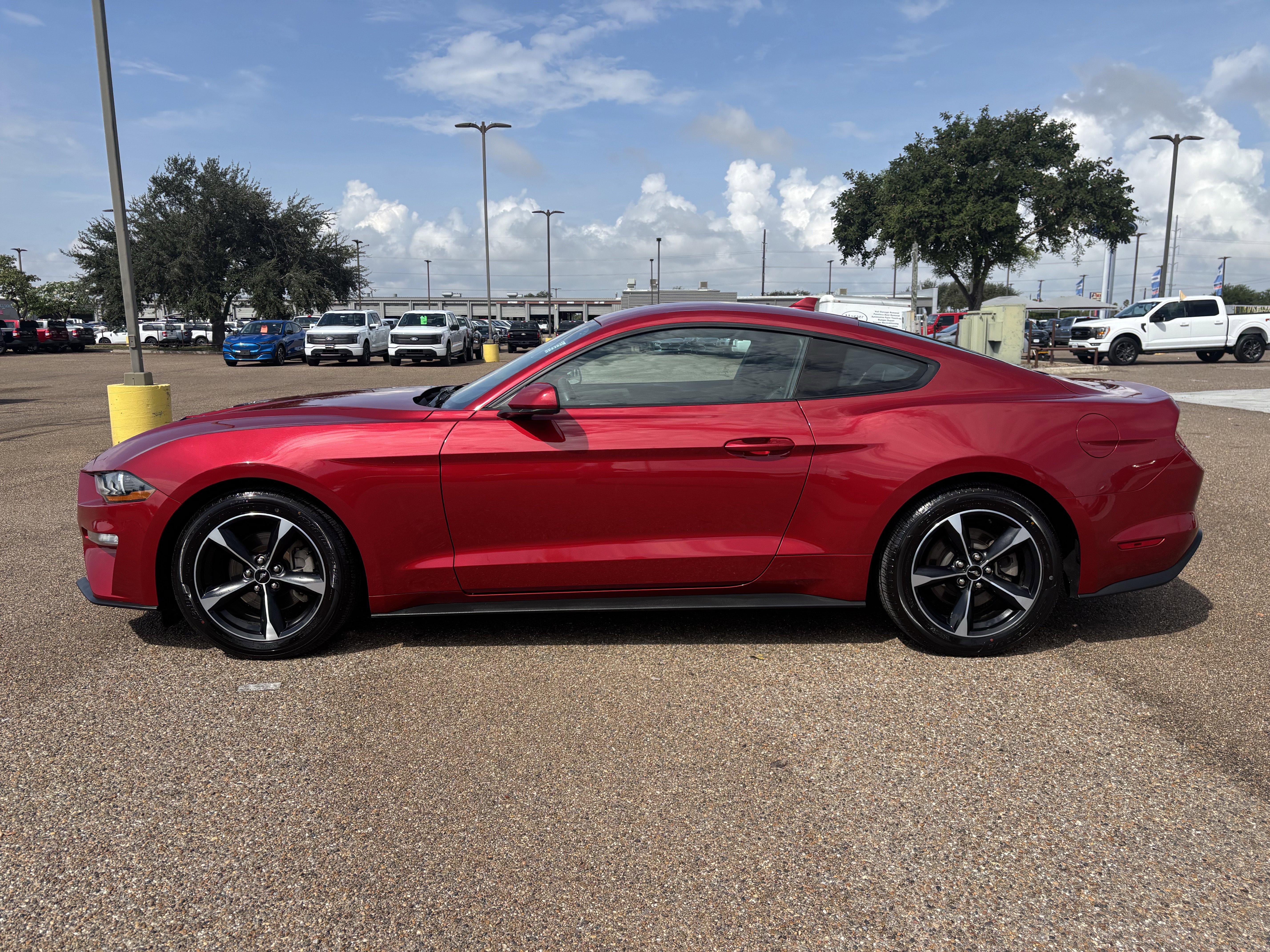 2023 Ford Mustang photo 3