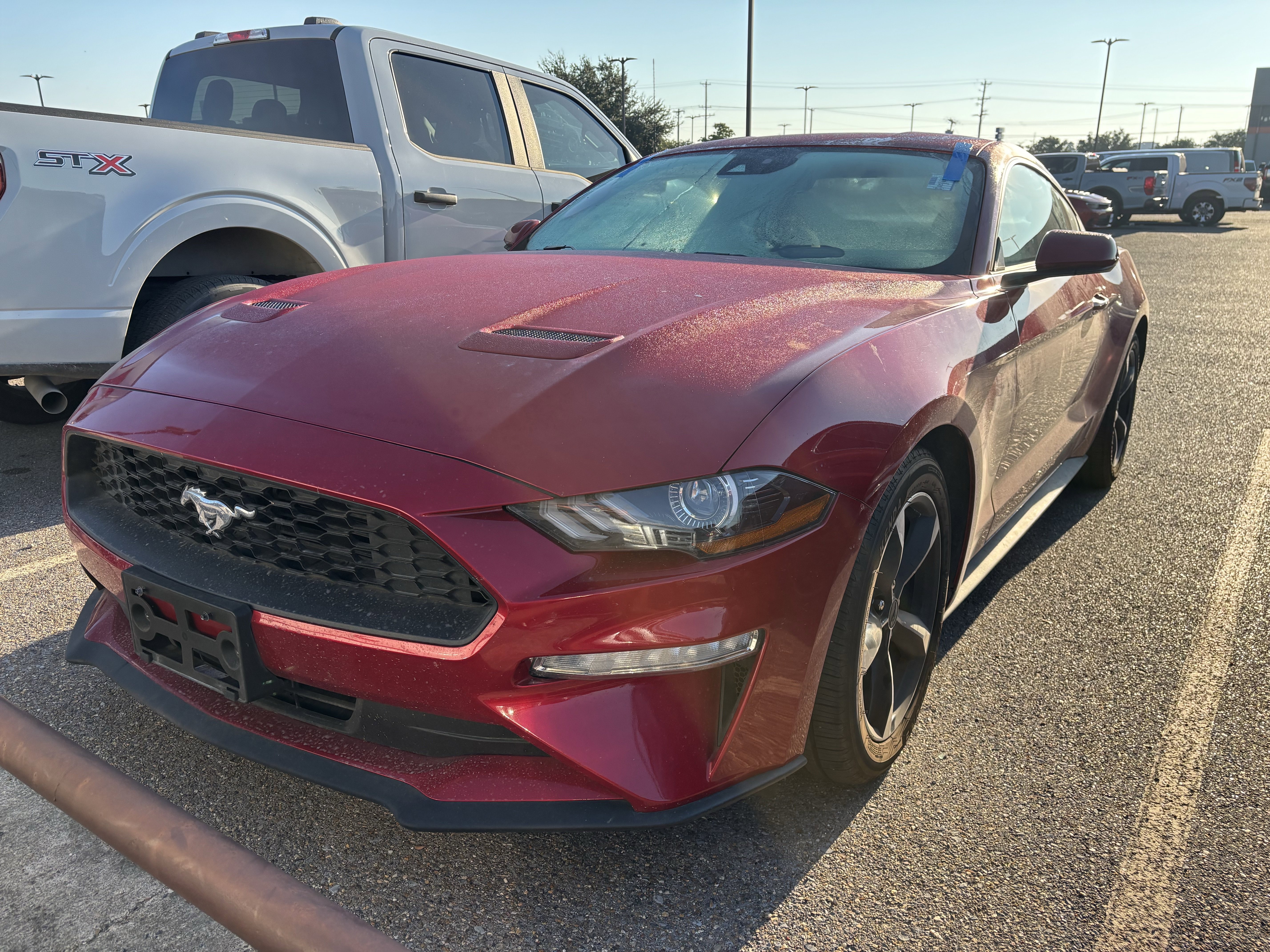 2023 Ford Mustang photo 4