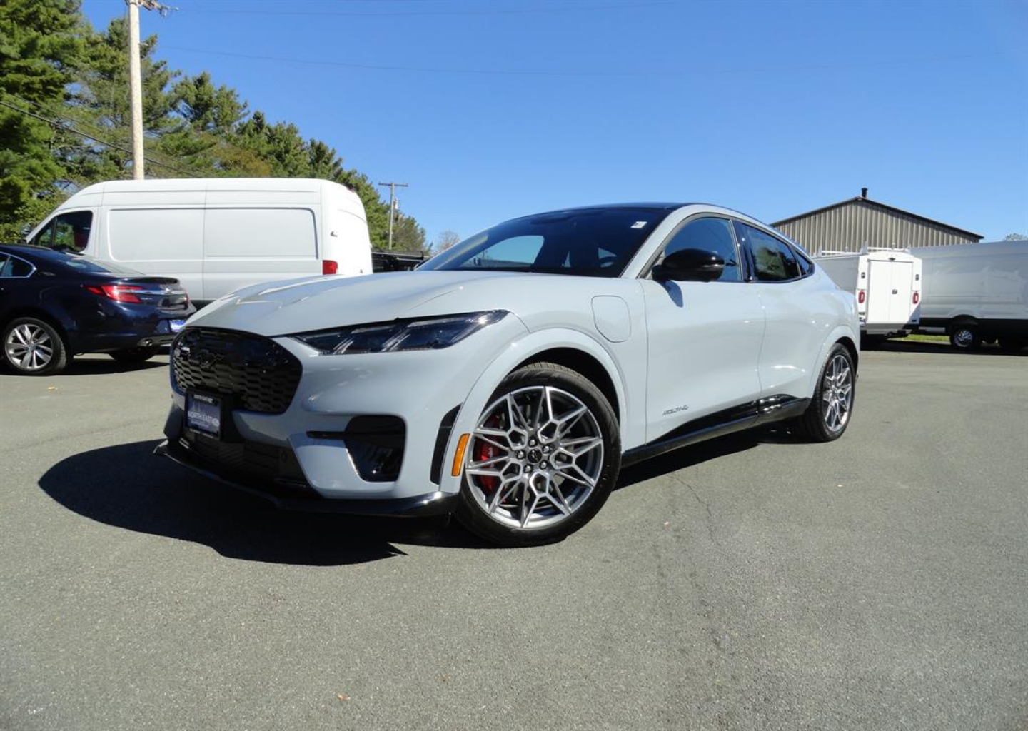 2025 Ford Mustang Mach-E GT AWD's photo