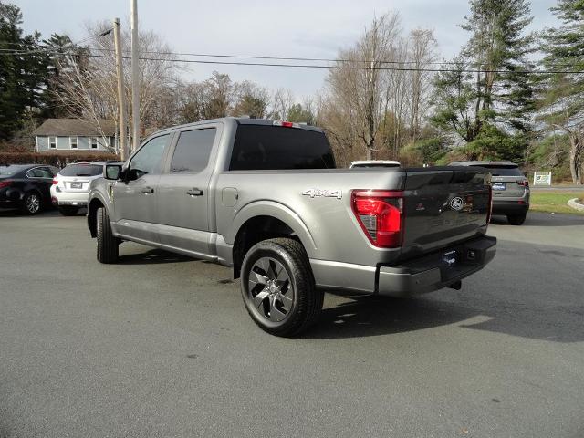 2025 Ford F-150 STX photo 3