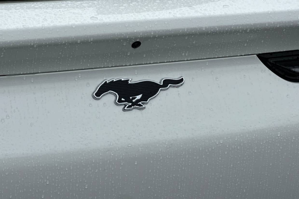 2025 Ford Mustang Mach-E Premium - Photo 7