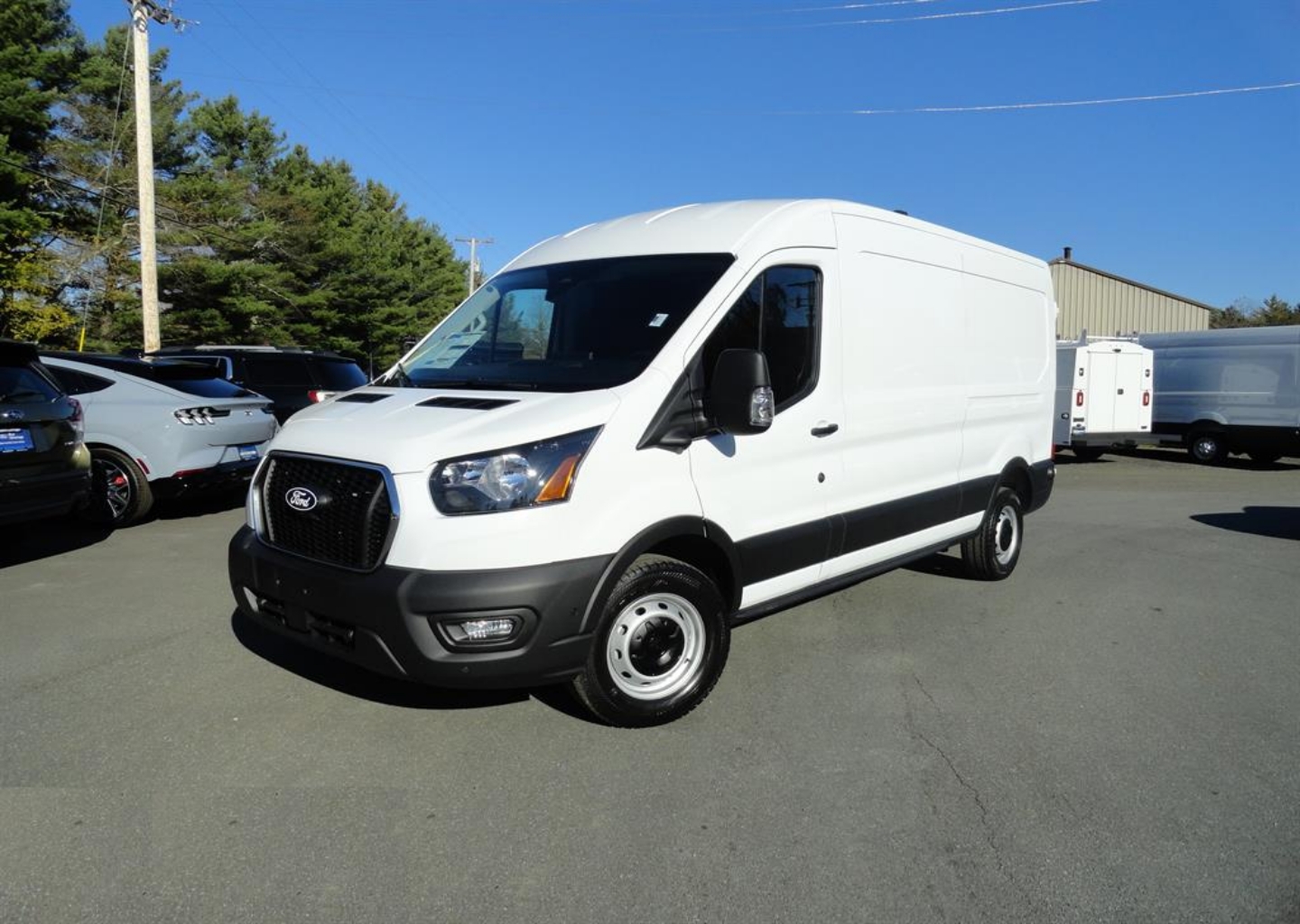 2026 Ford Transit Van Base's photo