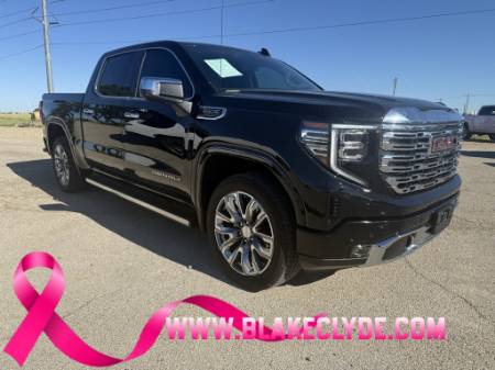 2025 GMC Sierra 1500 Denali