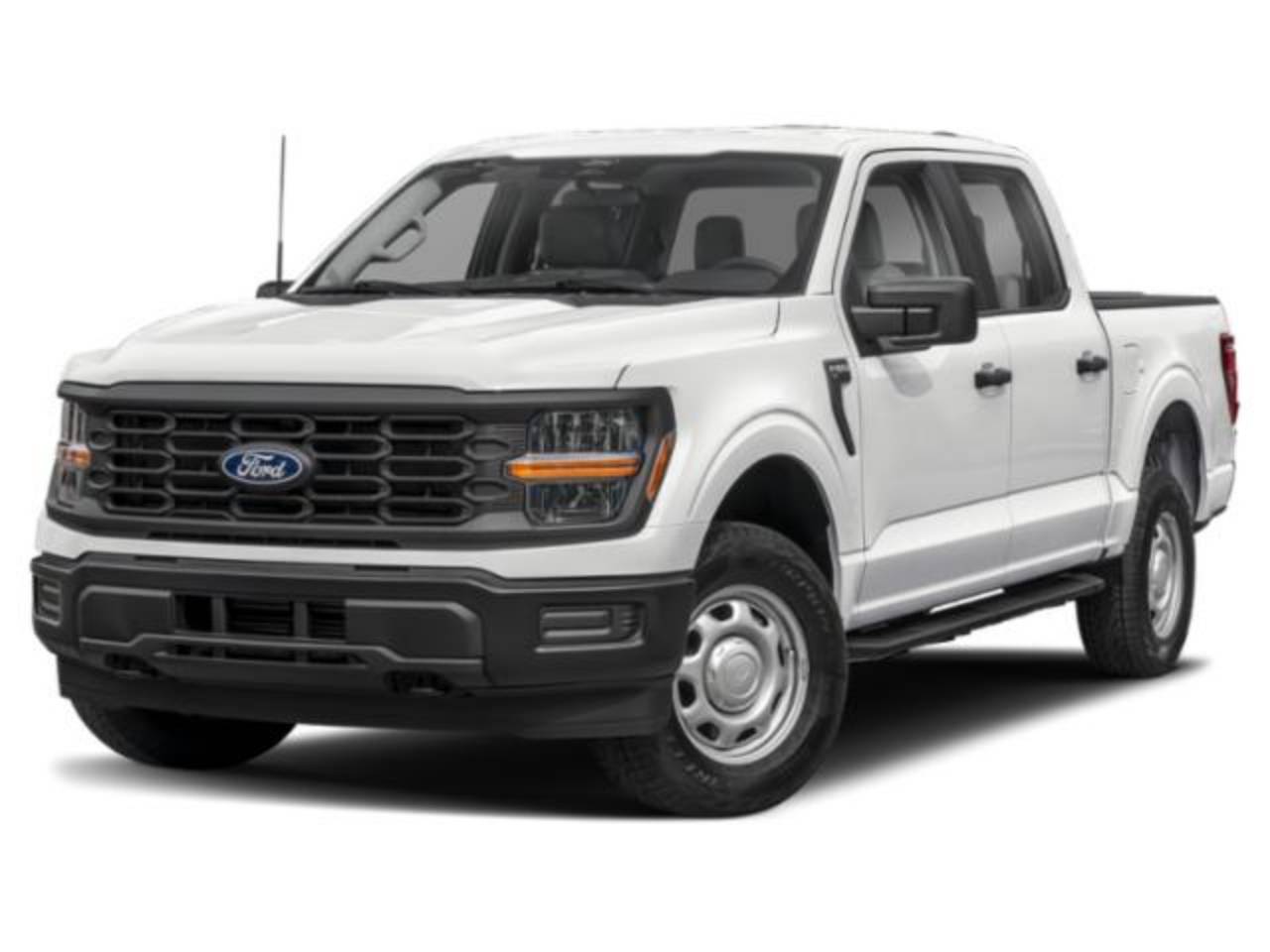 2025 Ford F-150 XL's photo