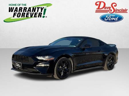 2023 Ford Mustang EcoBoost® Premium