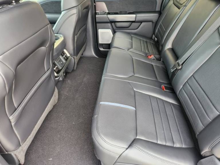 2025 Ford F-150 Platinum - Photo 23