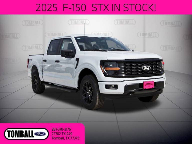 2025 Ford F-150 STX