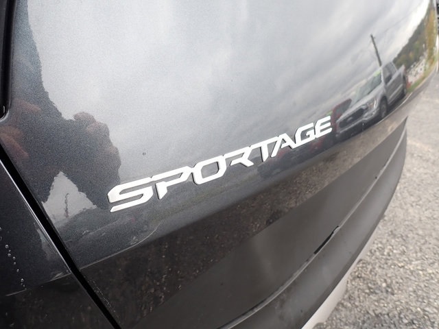 Showcase Image