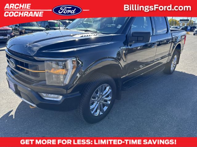 2023 Ford F-150 Tremor's photo