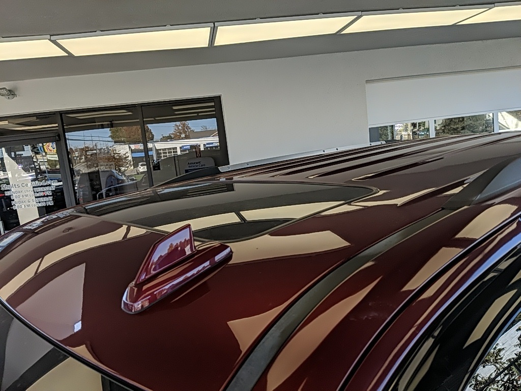 Showcase Image