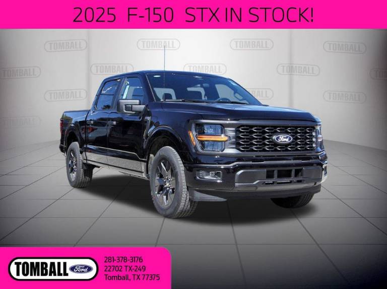 2025 Ford F-150 STX