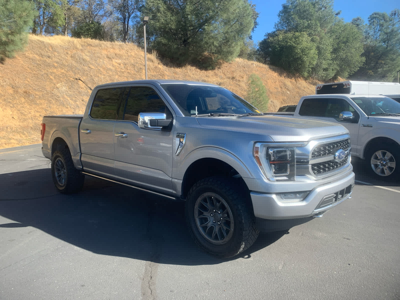 2021 Ford F-150 Platinum photo 3